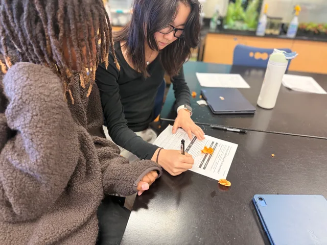Two participants complete a workshop worksheet together at a classroom table